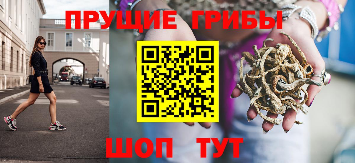 Псилоцибиновые грибы мицелий Минусинск