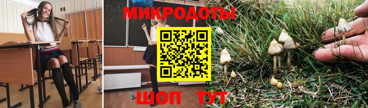 Минусинск  где продают   Вход с VPN  Псилоцибиновые грибы Psilocybe 